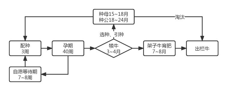 AWC-ٷվ